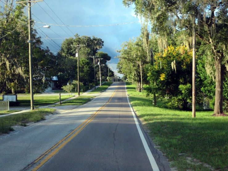 the street in the woods is empty during the day