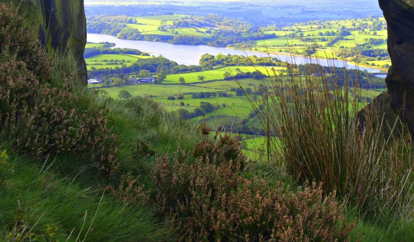 a grassy hillside overlooking a large body of water