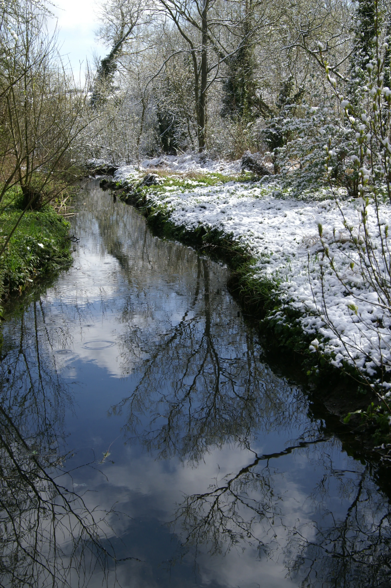 a snow covered river flowing through a green forest