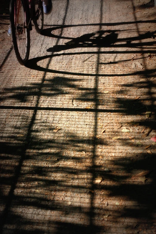 a bicycle casts a shadow on the brick street