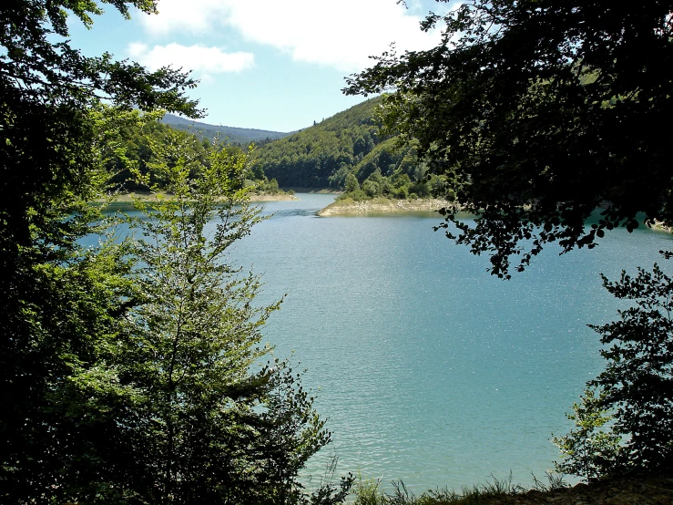 view of a body of water near many trees
