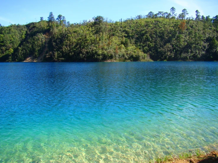 clear blue waters are surrounded by a forest on the shore