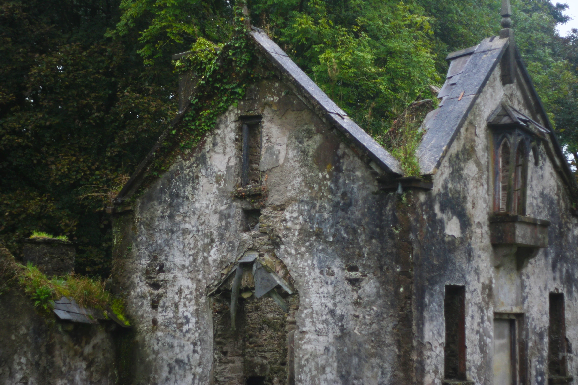 a church ruin with a cat on the roof