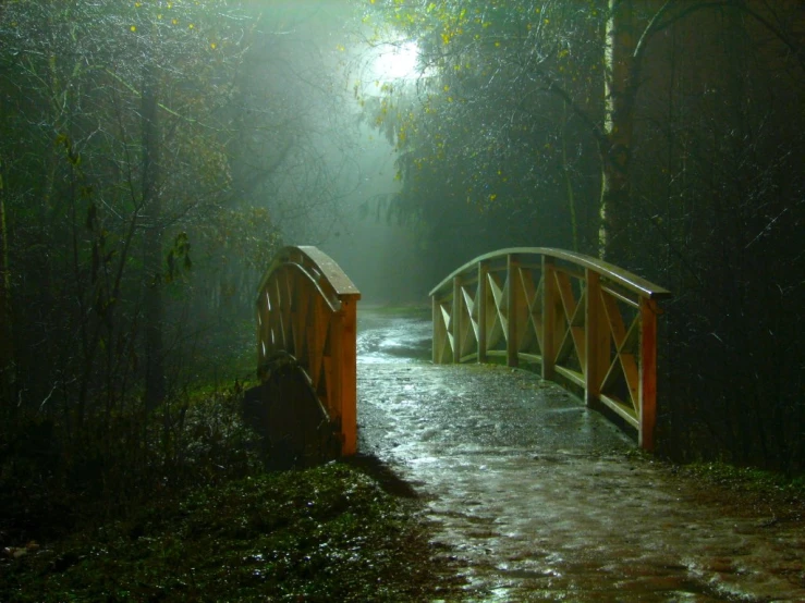 a wooden bridge surrounded by trees and fog in the night