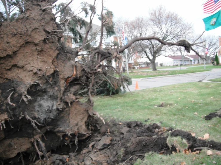 a large, old tree has been fell down on the corner of a neighborhood