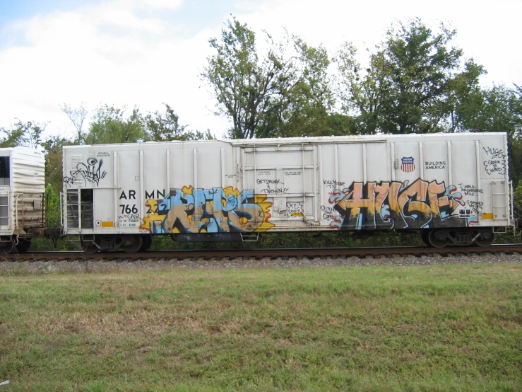 a train is covered in graffiti near grass