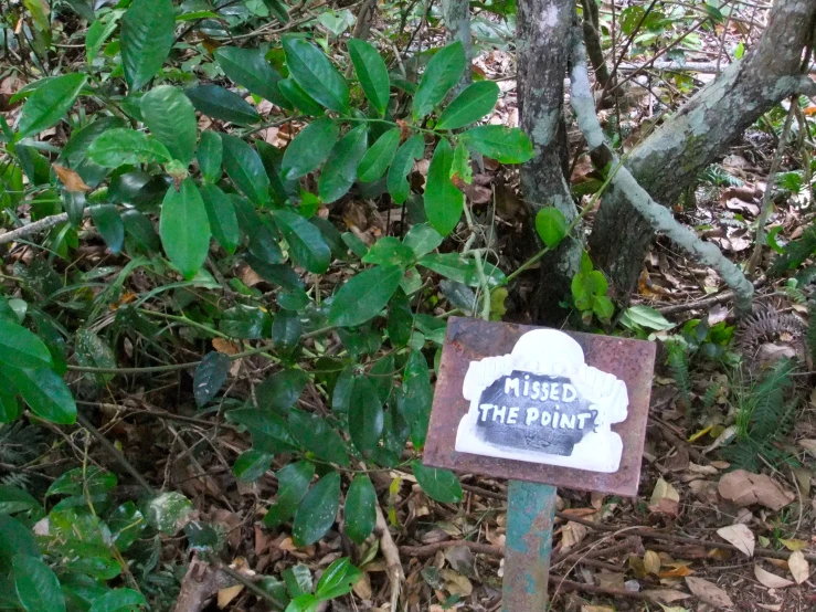 a sign sitting among bushes and other foliage