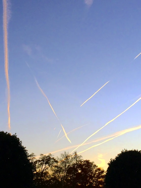 contrails are seen in the sky over trees