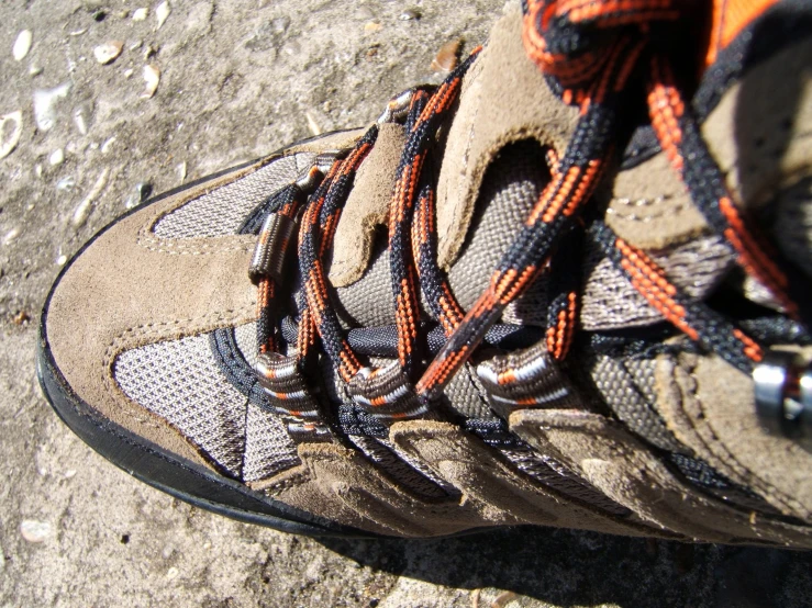 the laces on an sneakers shoes that are tied