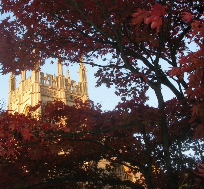 view through red leaves to the steeple of a church