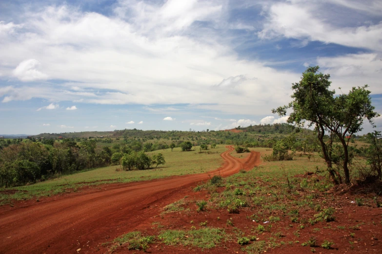 a dirt road in a green jungle under blue skies