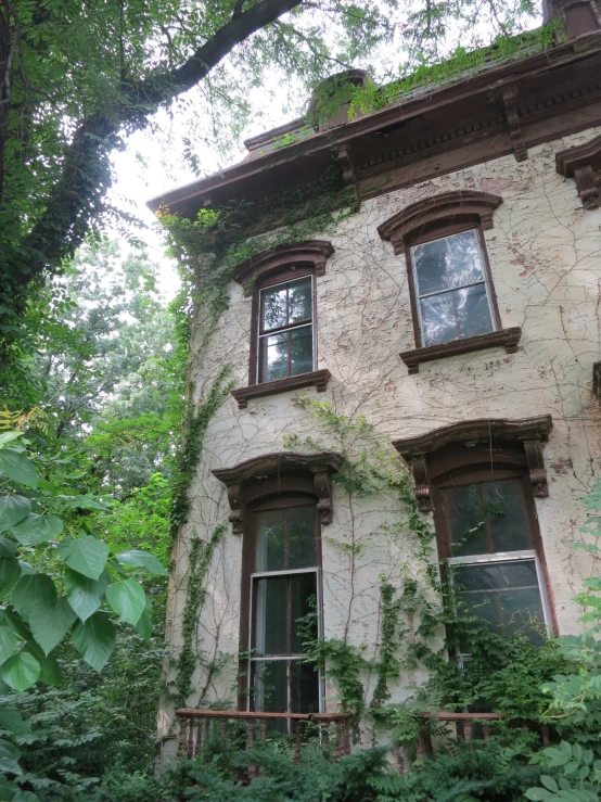 some ivy is growing on the side of an old house