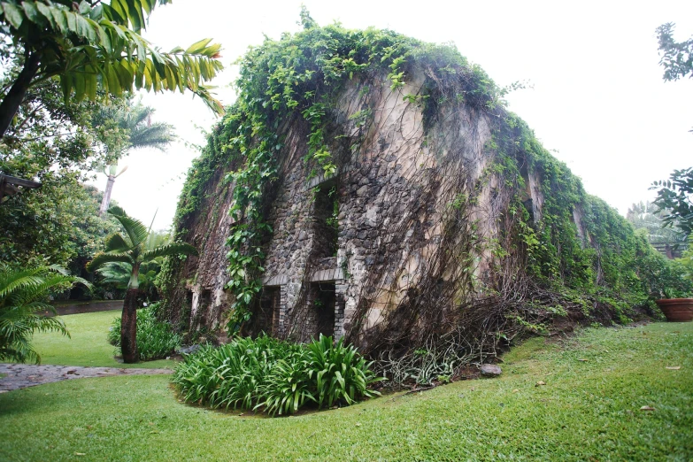 a structure is overgrown with leaves and plants