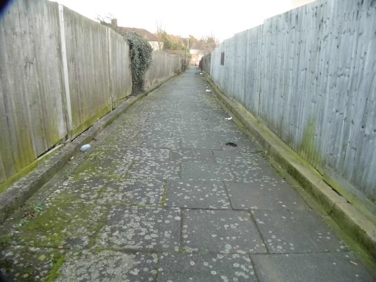 this is an alley lined with grey fence