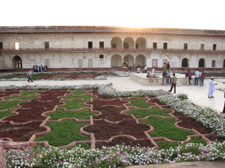 several people standing near and looking at some plants