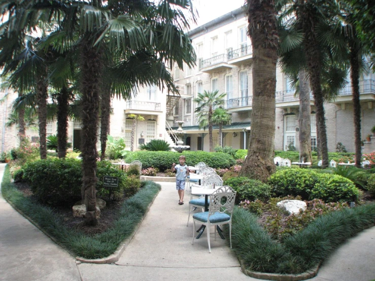 an empty walkway with palm trees in the background