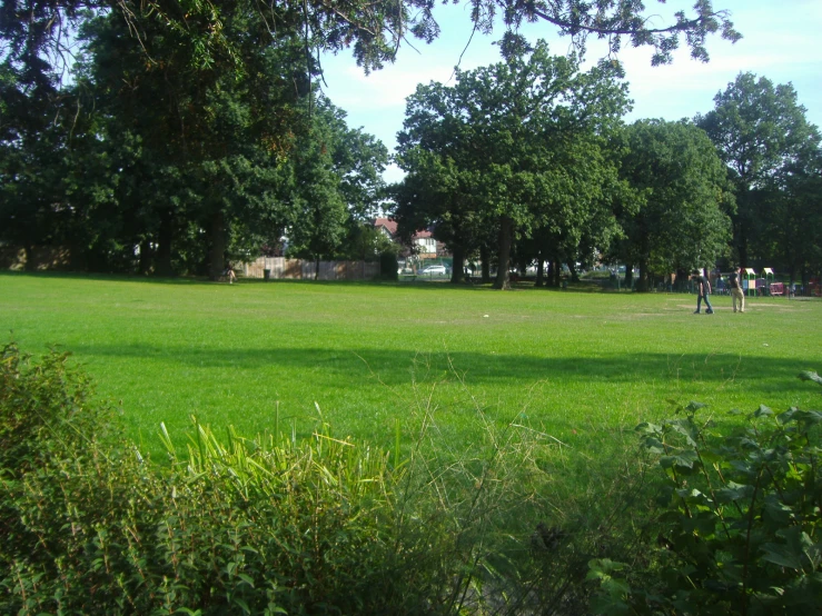 a group of people play ball in a field