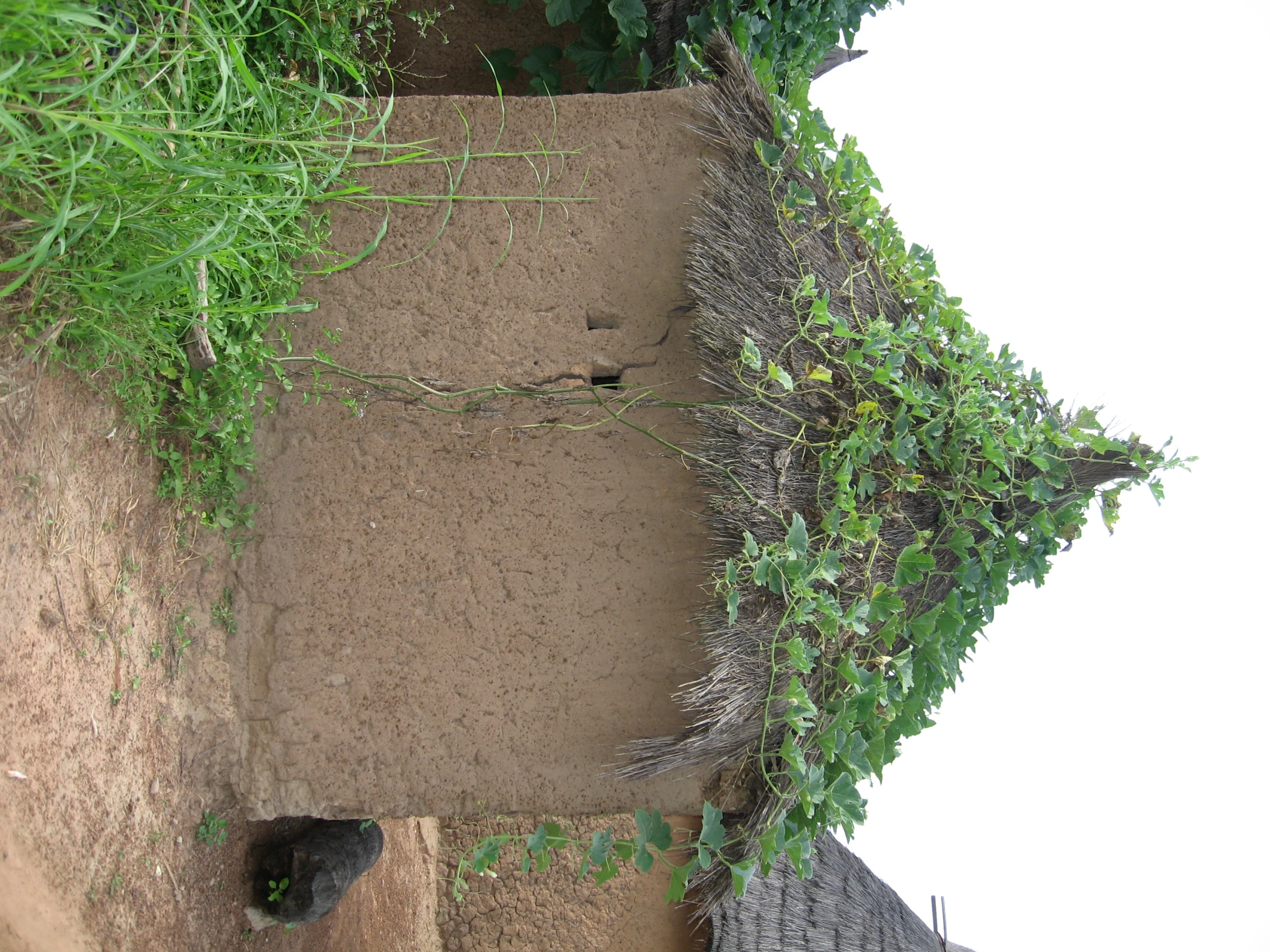 the building is made of clay and has a grass roof