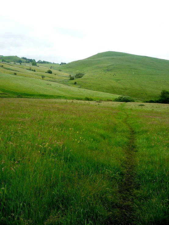 a view of an empty field with rolling hills