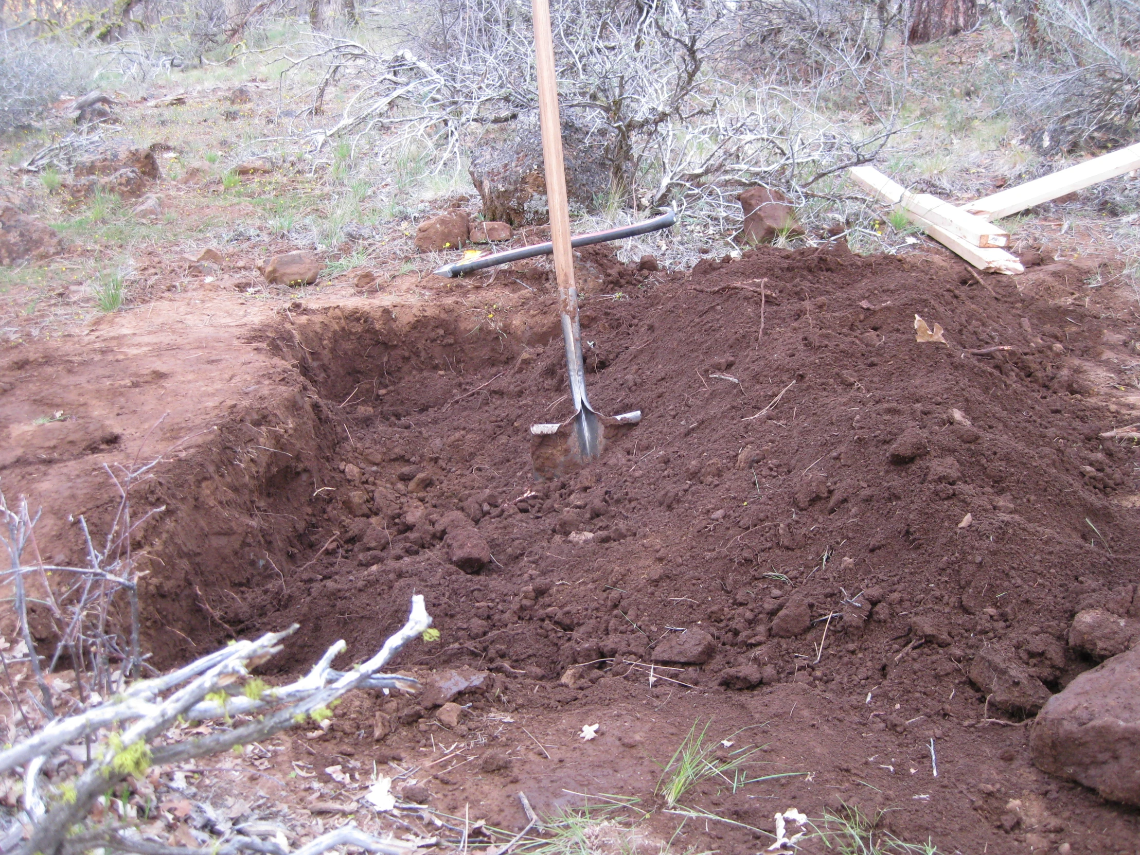 a shovel is sticking out of a patch of dirt near a tree