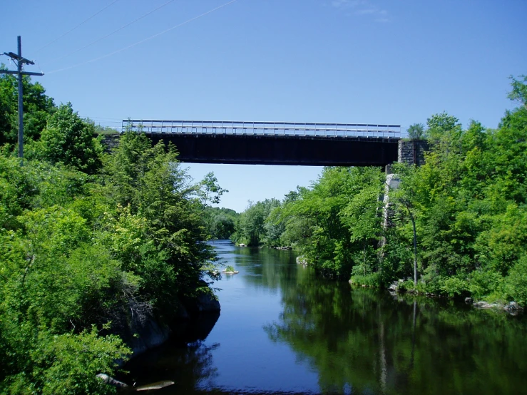 the view of a bridge and river in a forest