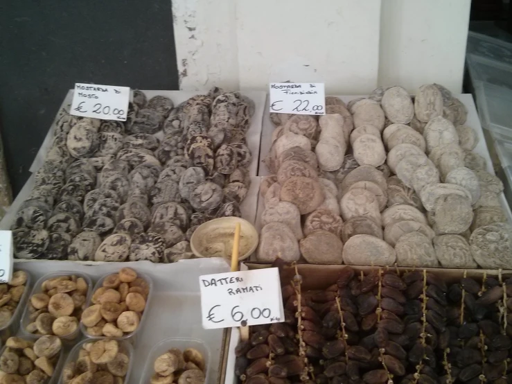 there are different kinds of doughnuts on display