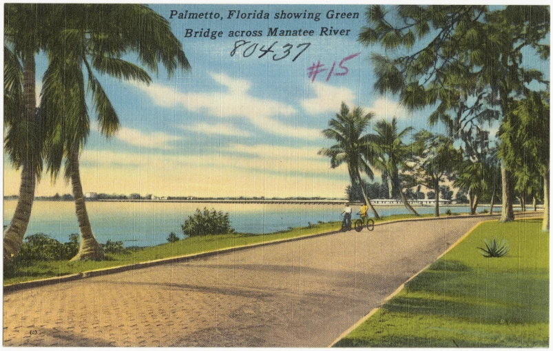 an old po of palm trees and the ocean