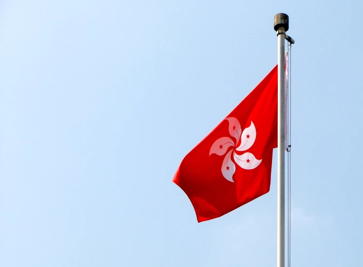 a red flag with white designs flying in the wind