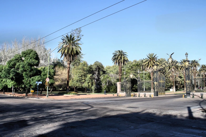 a road with cars driving down it and palm trees along it