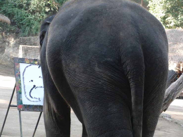 an elephant standing in front of a board with a drawing on it