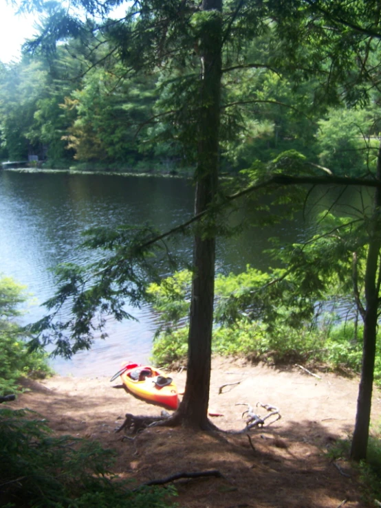 a canoe is sitting next to some trees by the water