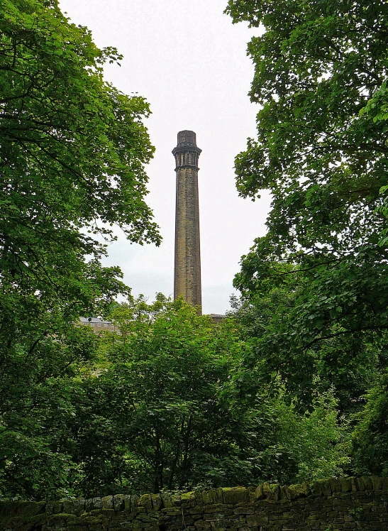 a po of a large tower in the distance surrounded by trees