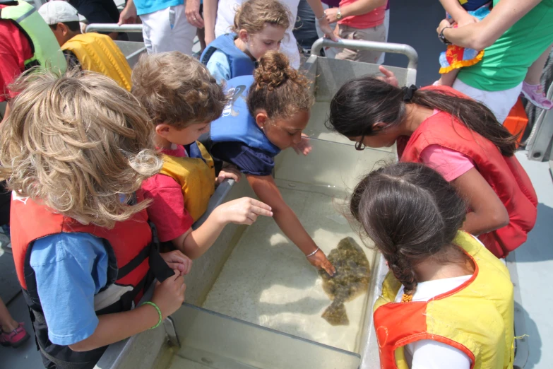 several s at a zoo looking into some water