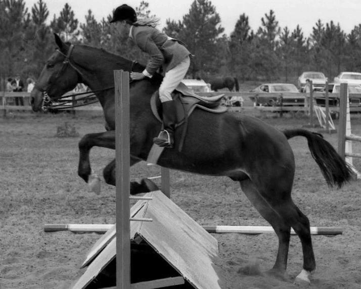 a person on a horse jumps over a hurdle