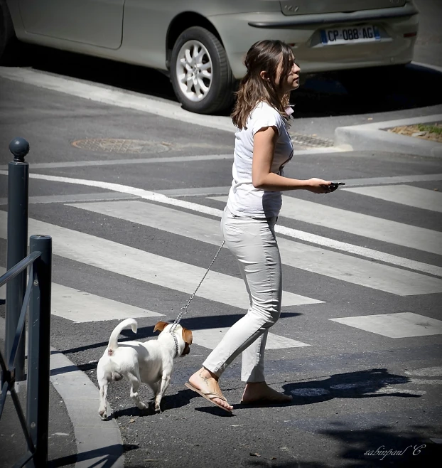 a girl with a white dog walks across the street
