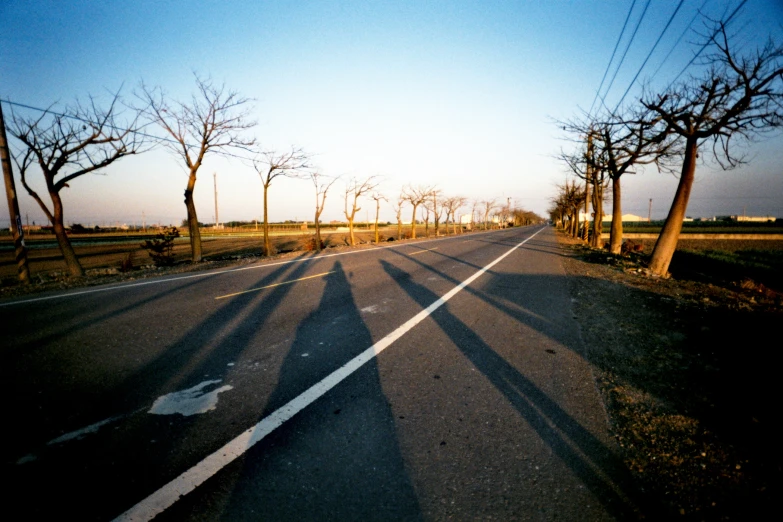 shadows of two people on the side of a road