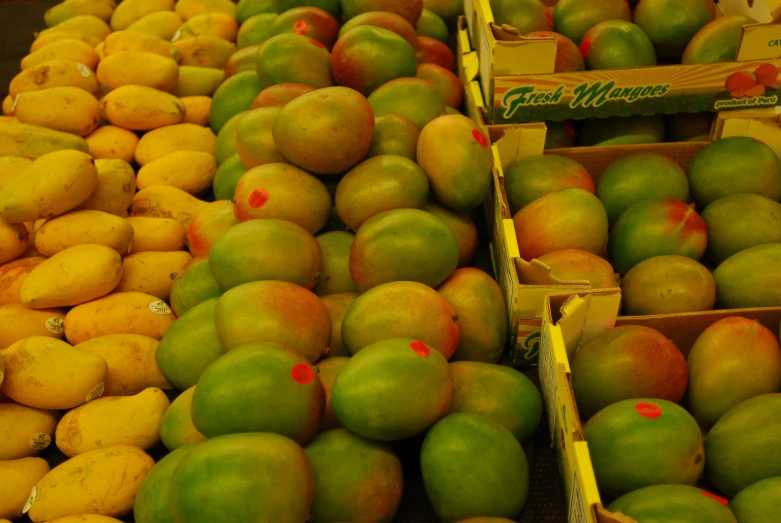 a long row of mangoes are on sale for $ 9