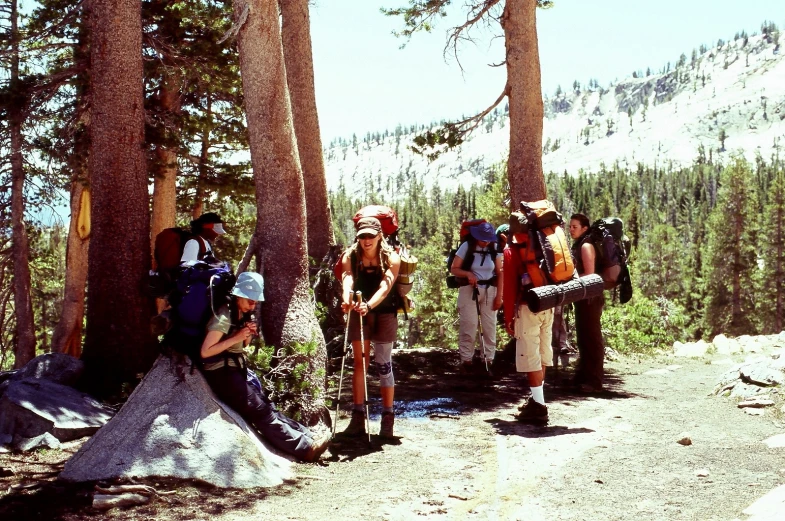 a group of people hike along the side of a forest