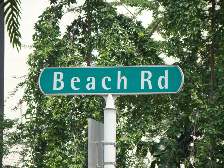 a street sign is shown on the post in front of some trees