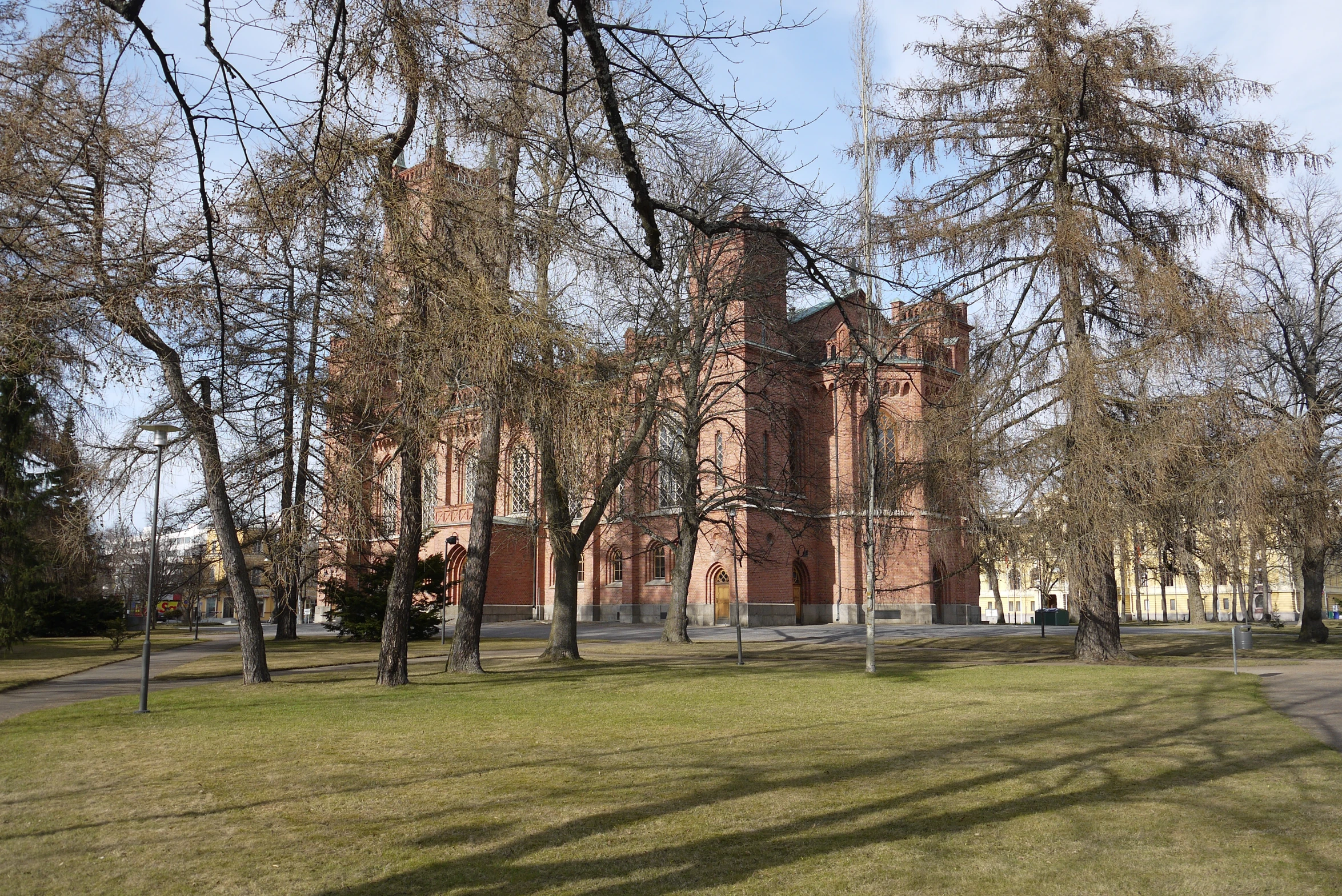 this is an image of trees in the park