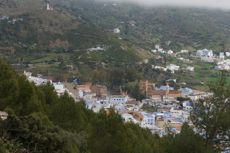 a city on the side of a hill that is covered in trees