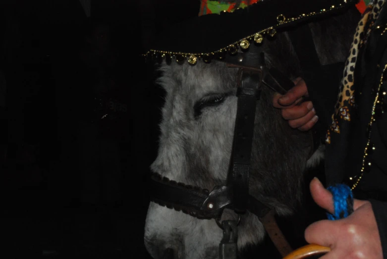 a white horse wearing a black hat and a gold chain around it's neck