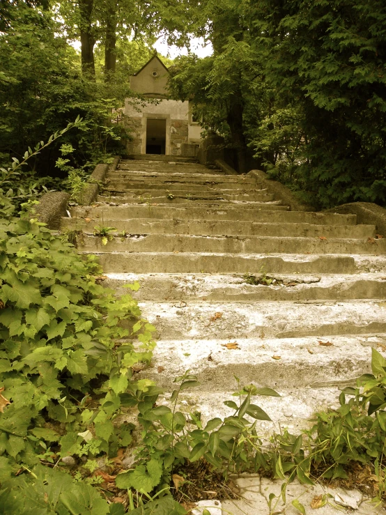 a stone steps leading to a small building near trees