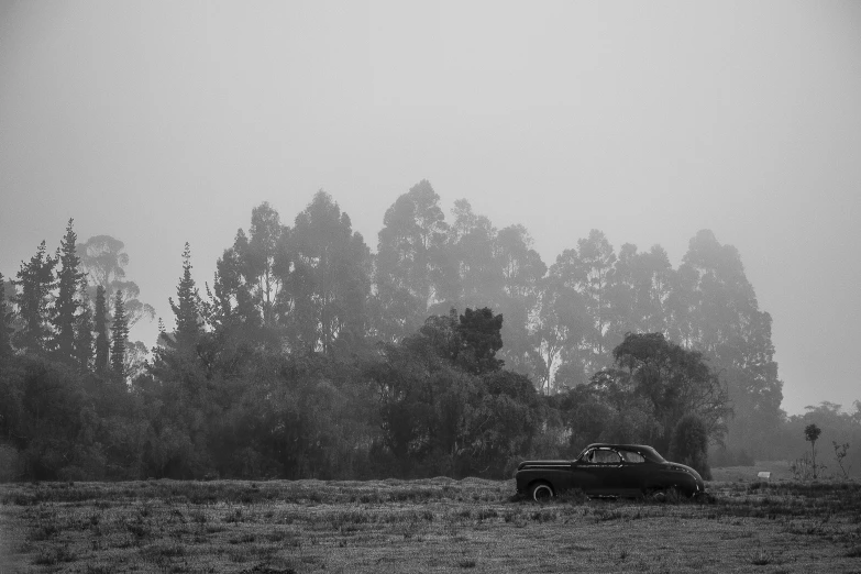 black and white pograph of car driving in a pasture