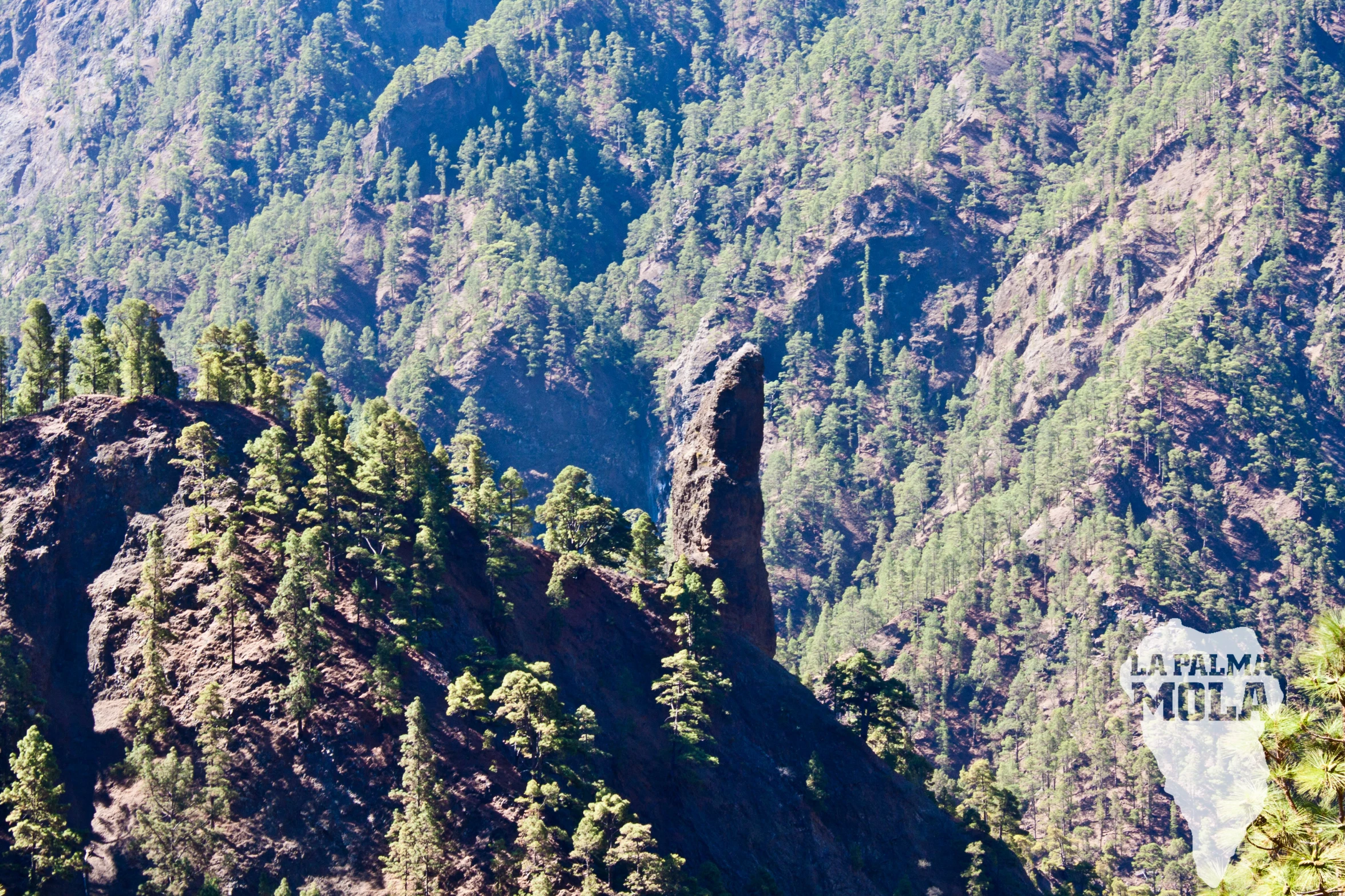 the rocky mountain with trees growing from it