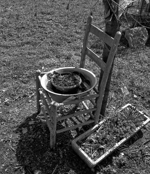 a chair sits by a tree and next to a pot