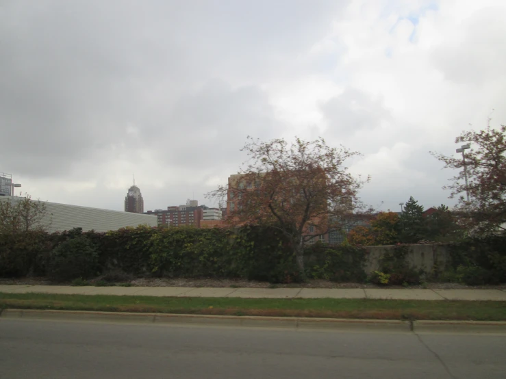 view of a street with a hedge and trees with buildings in the distance