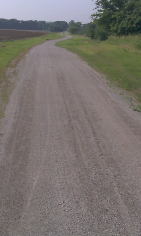 the dog is walking on the dirt road