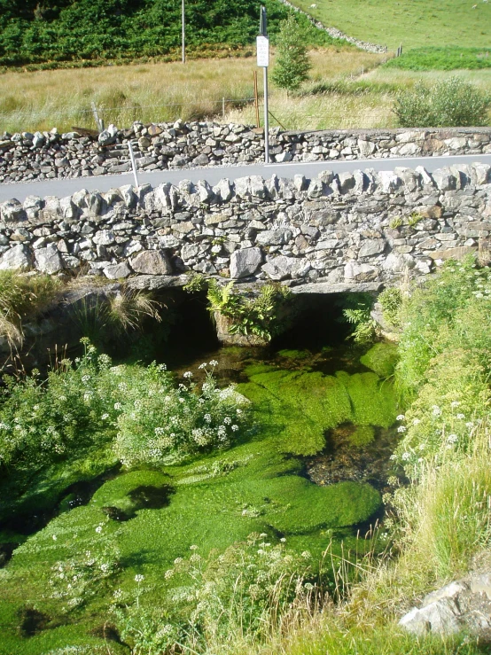 a stone bridge with green water in front