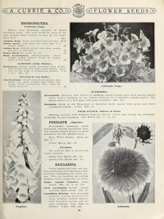 the page features images from flowers and plants